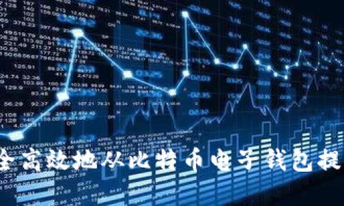 如何安全高效地从比特币电子钱包提取资金？